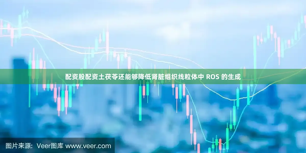 配资股配资土茯苓还能够降低肾脏组织线粒体中 ROS 的生成
