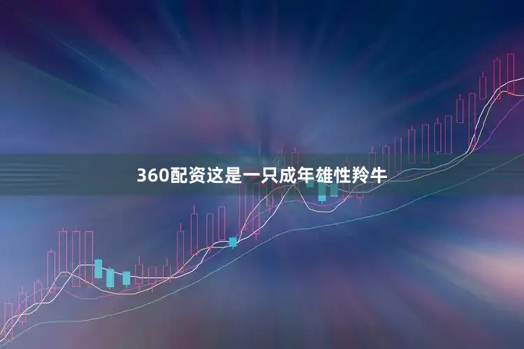 360配资这是一只成年雄性羚牛