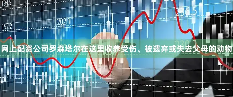 网上配资公司罗森塔尔在这里收养受伤、被遗弃或失去父母的动物