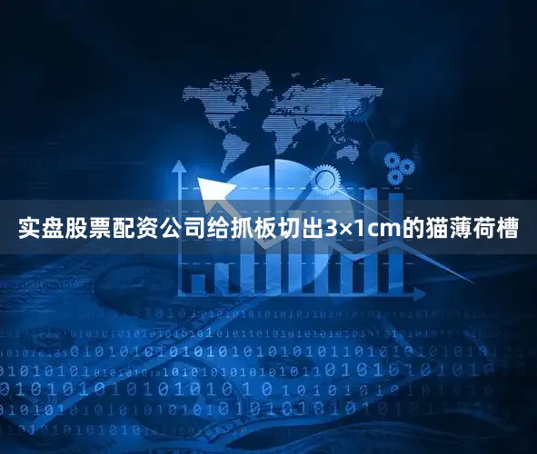实盘股票配资公司给抓板切出3×1cm的猫薄荷槽